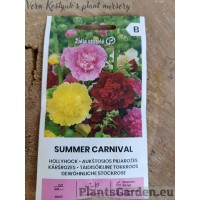 Шток-роза махровая Summer Carnival