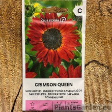 Päevalill Crimson Queen