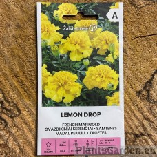 Madal peiulill Lemon Drop (Zalia Stotole)