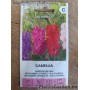 Недотрога бальзаминовая Camellia