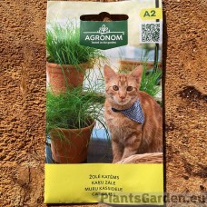 Muru kassidele Cat Grass