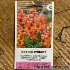 Lõvilõug Orange Wonder