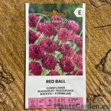 Rukkilill Red Ball