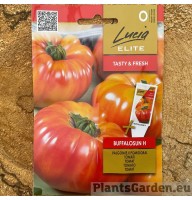 Tomat Buffalosun F1