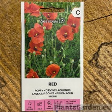 Põldmagun Red (Zalia Stotole)