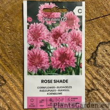 Rukkilill Rose Shade (Zalia Stotole)