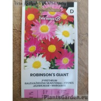 Пиретрум розовый (Пижма) Robinson'S Giant