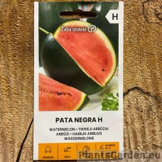 Arbuus Pata Negra F1