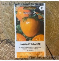 Tomat Oxheart Orange