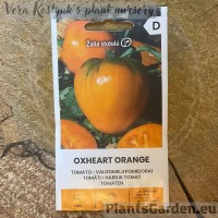 Tomāts Oxheart Orange