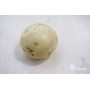 SEED POTATOES VINETA A 25KG