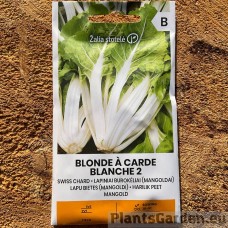 Mangold (lehtpeet) Blonde A Carde Blanche 2