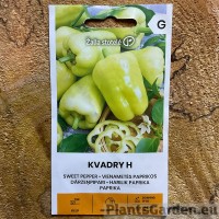 Paprika Kvadry F1