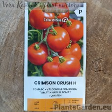 Tomato Crimson Crush H