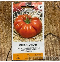 Tomat Gigantomo F1