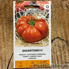 Tomat Gigantomo F1