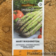 Asparagus Mary Washington