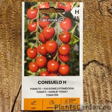 Tomat Consuelo F1