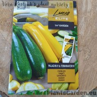 Kabatšokk (Suvikõrvits) Paladin F1 * Terminator F1