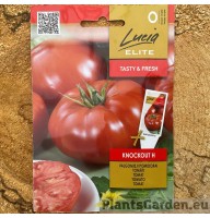Tomat Knockout F1