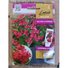 Alatiõitsev begoonia täidisõieline Flowerball H Red