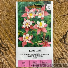 Kurekell Koralle