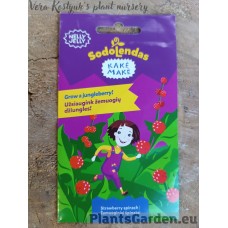 Strawberry Spinach - Nelly Jelly