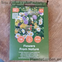 Lille niidu ja rohu seemnete segu  looduse lilledest