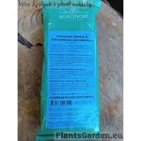 Fodder Beet Zentaur Poly 0,1 Kg