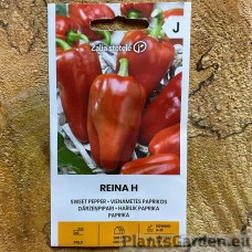 Paprika Reina F1