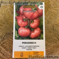 Томат Perugino F1