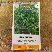 Салат Radichetta