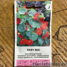 Madal mungalill Baby Red