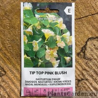 Madal mungalill Tip Top Pink Blush