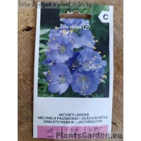 Синюха голубая