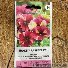 Petuunia Shake™ Raspberry H