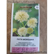 Adatu spilventiņa puķe I Fata Morgana