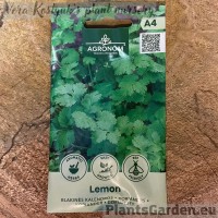 Coriander Lemon