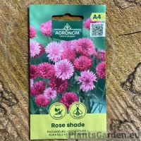 Rukkilill Rose Shade (Agronom)