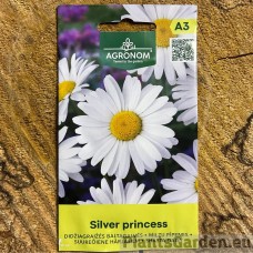 Suureõiene härjasilm Silver Princess (Agronom)