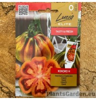 Tomat Kokoro F1