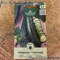Огурец Telegraph Improved