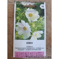 Kosmos Kiiro