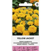 Madal peiulill Yellow Jacket
