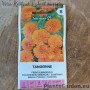 Бархатцы Tangerine