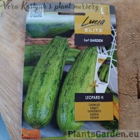 Kabatšokk (Suvikõrvits) Leopard F1