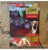 Tomat Black Beauty