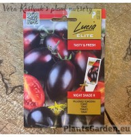 Tomat Night Shade F1