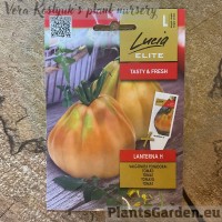 Томат Lanterna F1