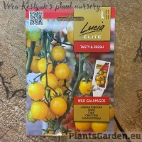 Томат Wild Galapagos